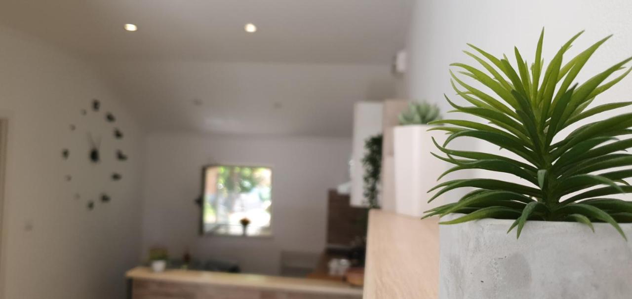 Apartments Marija Vukas Dubrownik Zewnętrze zdjęcie