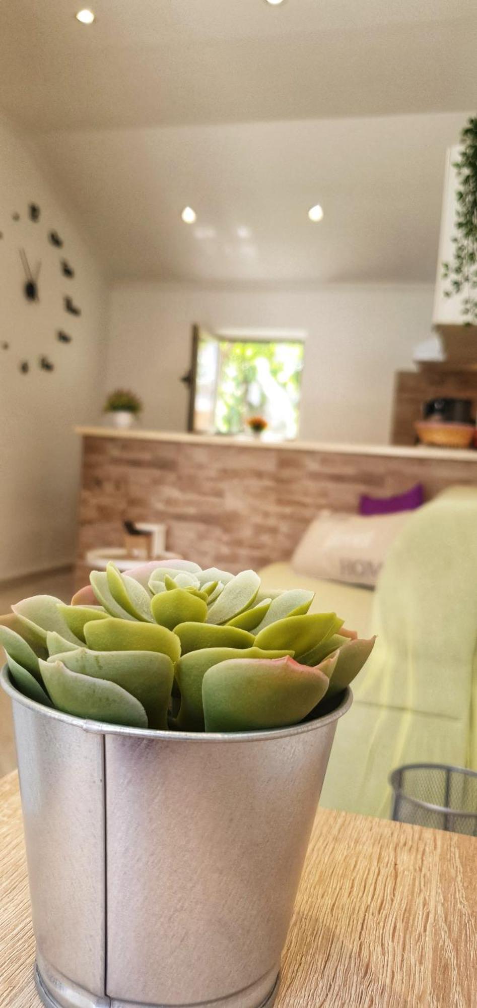 Apartments Marija Vukas Dubrownik Pokój zdjęcie